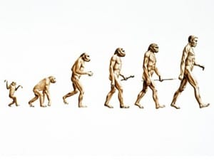 evolution of man