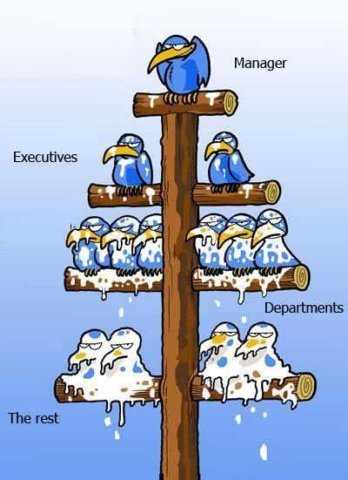 Funny Idea of Management Structure - But I Disagree