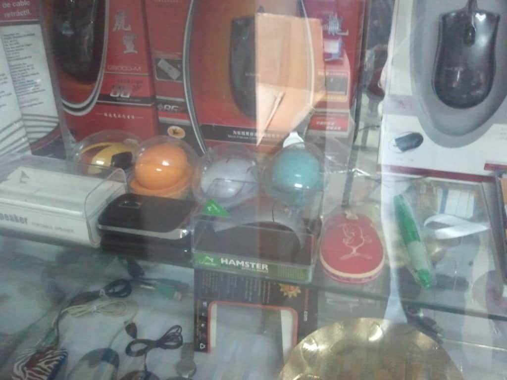 Visit to a Shenzhen Mouse Factory